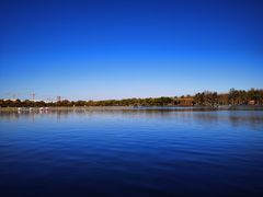 -廊坊文化艺术中心