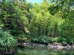 -新江湾城公园