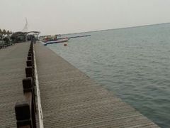 -碧海金沙