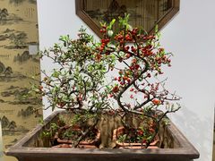 -石家庄市植物园