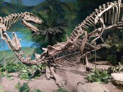 -自贡恐龙博物馆