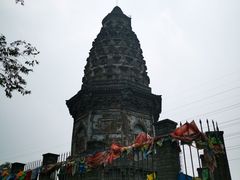 -云岗森林公园