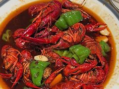 -杨氏青龙虾·羊蝎子(珠江路店)