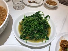 -金春禧(世茂国际广场店)