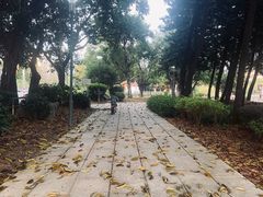 -光明港公园