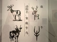 -盘龙城国家考古遗址公园