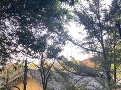 -缙云山景区