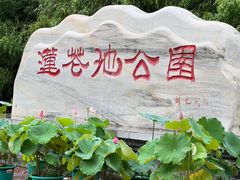 -莲花池公园