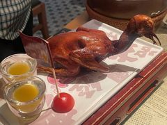 红烧乳鸽-大鸽饭(北京路店)
