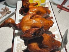 -大鸽饭(动物园店)