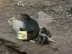 -昆明动物园