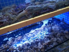 -农家霸王地锅鸡(国顺东路店)