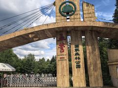 -五营红松林海景区