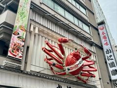 -蟹道乐(道顿堀本店)