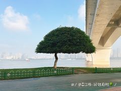 -武昌江滩