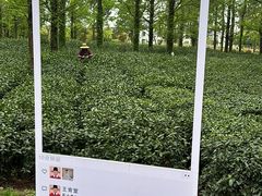 -宝岩生态观光园