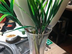 -探窝·竹笙椰子鸡(杨箕店)