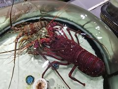 -强记海鲜·大排档(蛇口新街店)