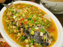 飞虹鱼-飞虹鱼馆(春华路店)