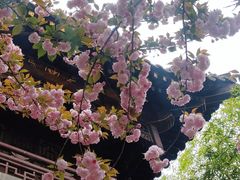 -罔极寺