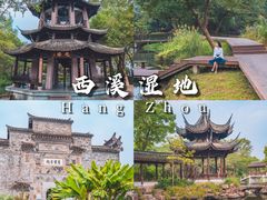 -西溪国家湿地公园