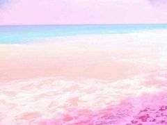 -萨莉亚(百信广场店)