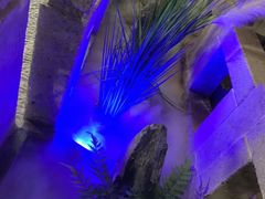 -绿茶餐厅(燕郊永旺店)