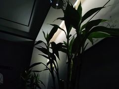 -玥汐·3D影院式足道SPA(万泰城店)