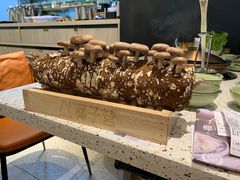-椰子营·椰子鸡火锅(万象里店)