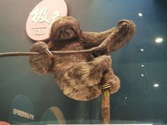 -国家自然博物馆