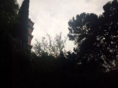 -房湖公园