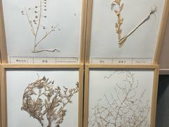 -青海藏文化博物院