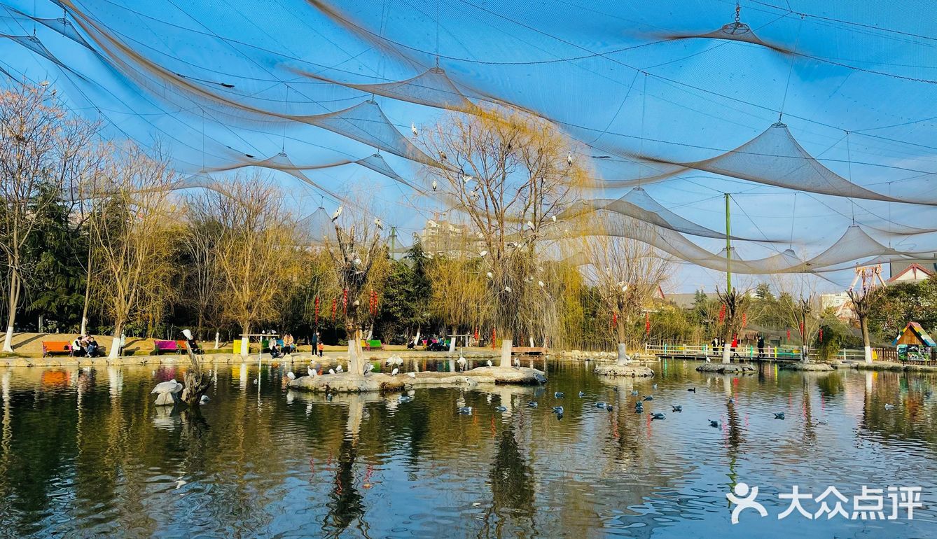 漯河人气比较旺的公园-开源森林公园