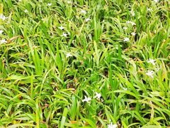 -唐城墙遗址公园