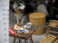 -悟饮门市景店