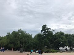 -宝安西湾红树林湿地公园