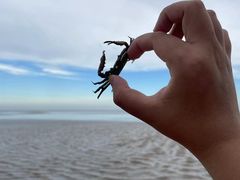 -南汇新城海滩