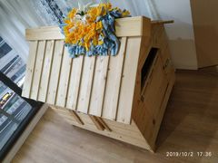 -Husky Go! 哈士奇体验馆·宠物咖啡厅狗咖