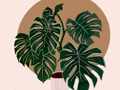 -白鹿艺术美学工作室 1 画室(MOMA校区)
