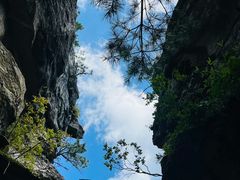 -朱雀国家森林公园