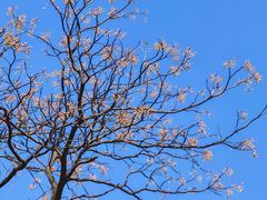 -东钱湖旅游度假区