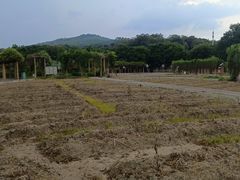-火炉山森林公园
