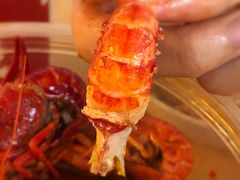 -海岛八号龙虾烧烤田鸡(蓝天路总店)