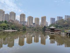 -龙头寺公园