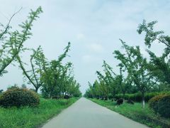 -梁鸿国家湿地公园