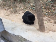 -秦始皇帝陵博物院-丽山园