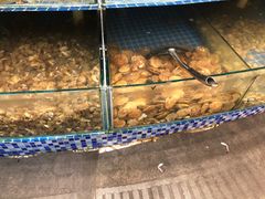 -蟹谢蒸鲜自助餐厅