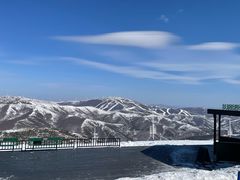 -密苑云顶乐园