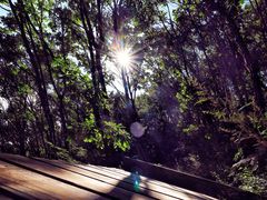 -白草畔自然风景区