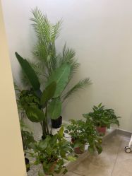 -VE专注问题肌·赛诺龙&科学美肤中心